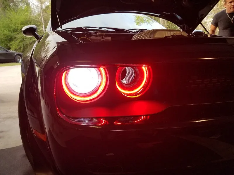 2015–23 Dodge Challenger Halo Lights — Standard Mount